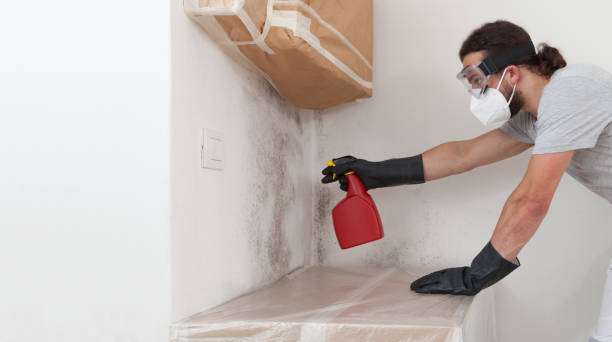 Professional Attic Mold Remediation technician working in Ephrata, PA