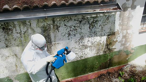 Top rated local Attic Mold Remediation specialists in Ephrata, PA
